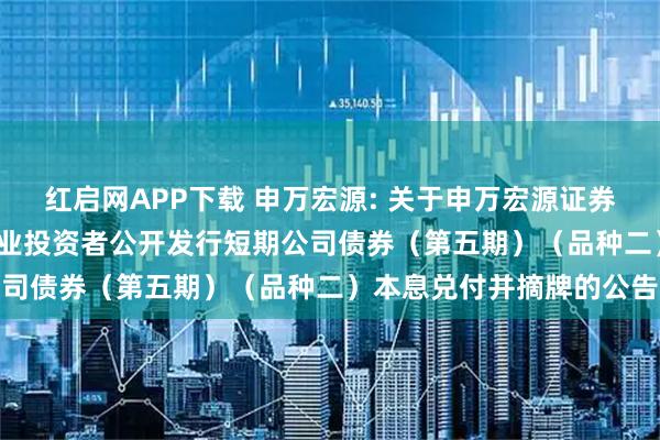 红启网APP下载 申万宏源: 关于申万宏源证券有限公司2024年面向专业投资者公开发行短期公司债券（第五期）（品种二）本息兑付并摘牌的公告